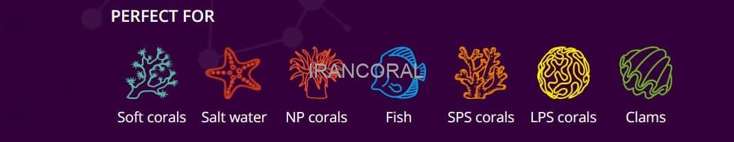 نمک هیبرید پرو سالت آکوافارست