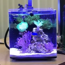 آکواریوم آب شور نانو کامل