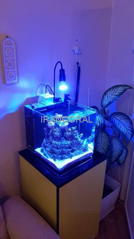 آکواریوم آب شور نانو کامل