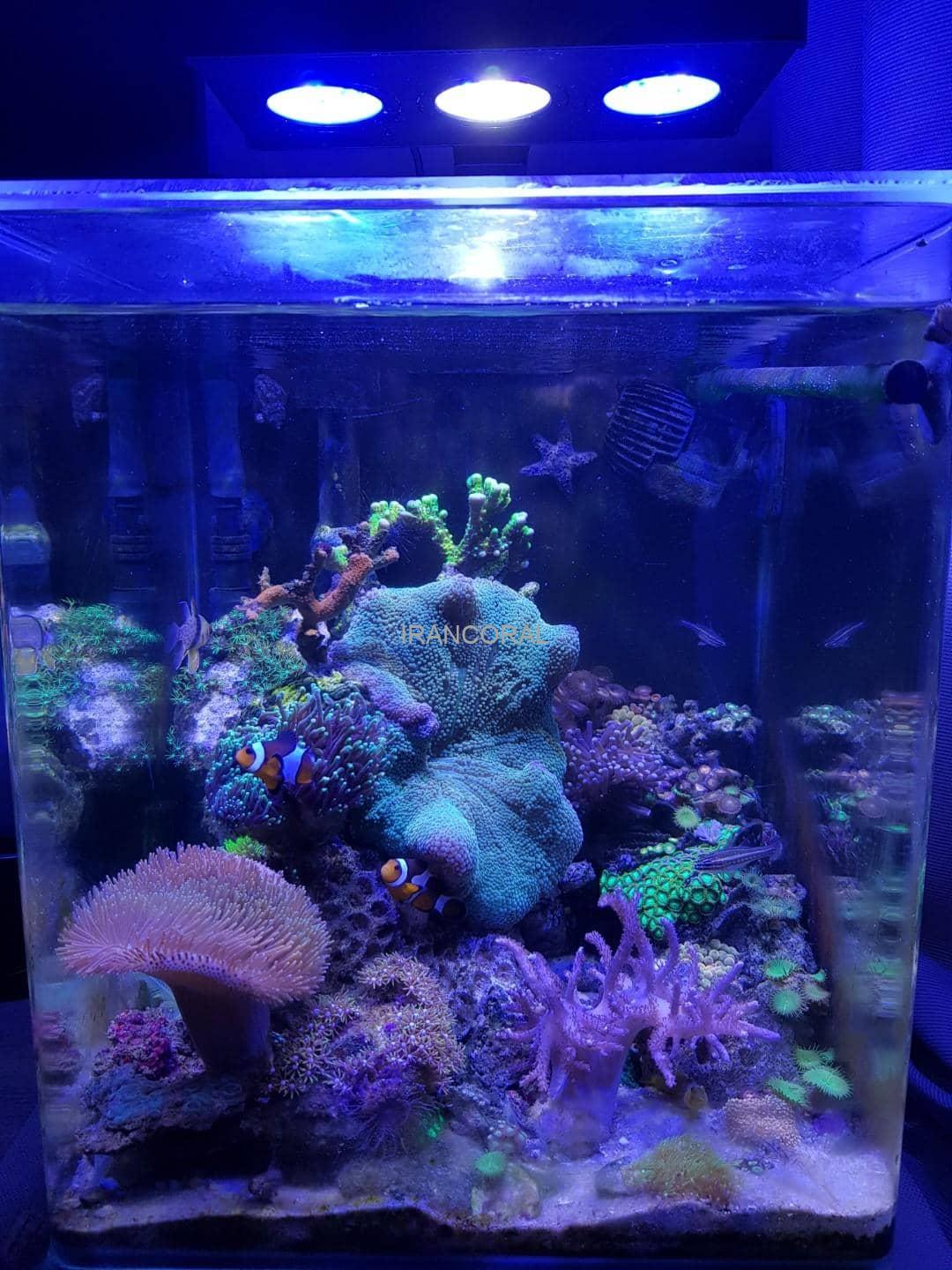 آکواریوم آب شور نانو کامل
