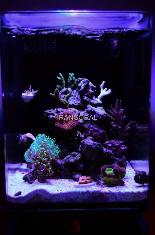 آکواریوم آب شور نانو کامل