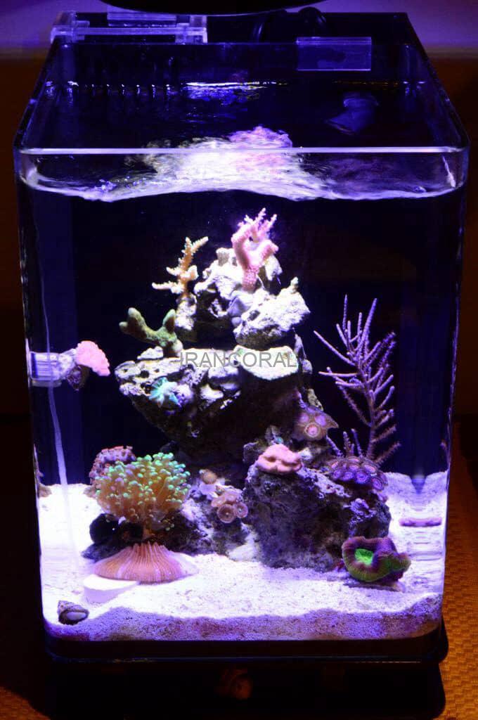 آکواریوم آب شور نانو کامل