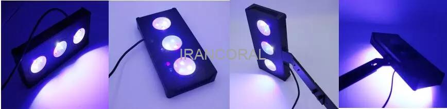 تایمر نور اسپکترا