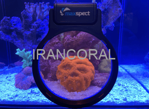 ذره بین و لنز فیلتر فوق العاده جذاب جدید مکس اسپکت