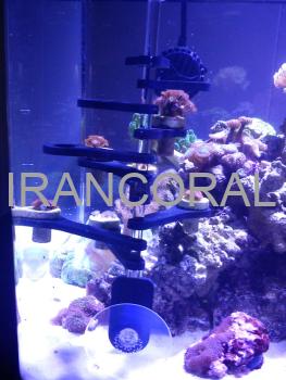 استند و پایه تکثیر مرجان