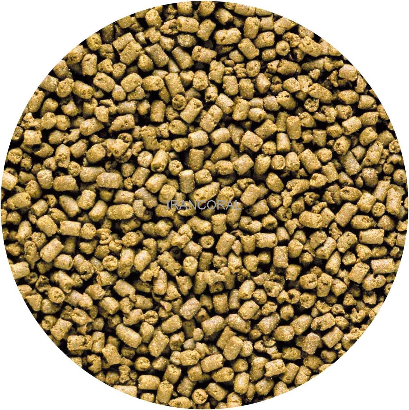 غذای تخصصی ماهیان آب شور گوشتخوار هیکاری