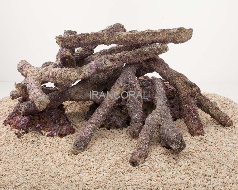 صخره های شاخه ای کاریب سی