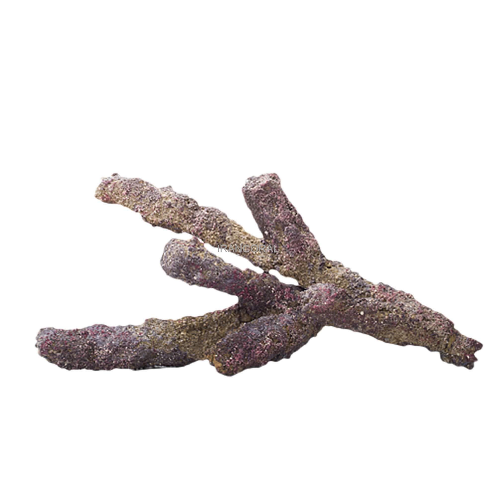 صخره های شاخه ای کاریب سی