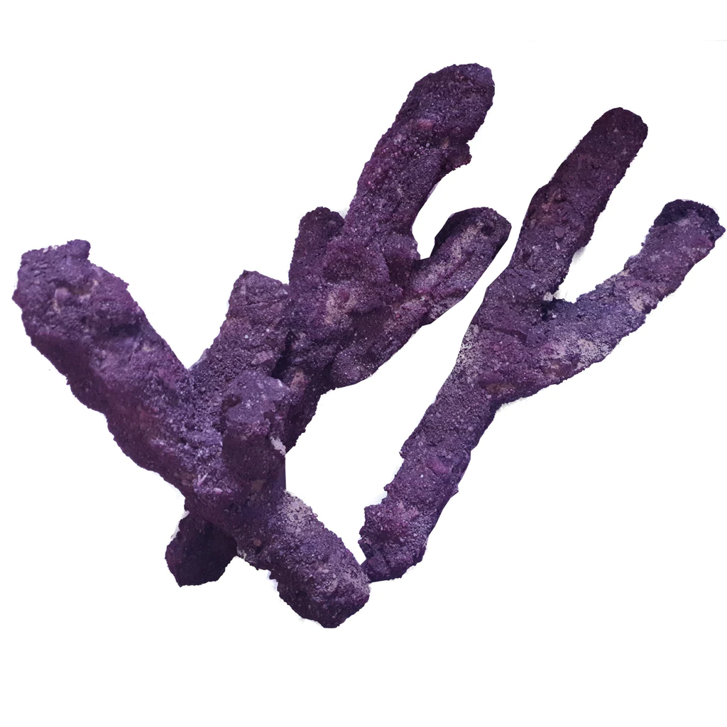 صخره های شاخه ای کاریب سی