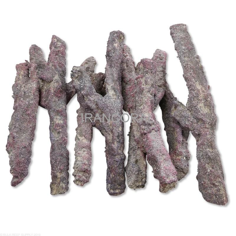 صخره های شاخه ای کاریب سی