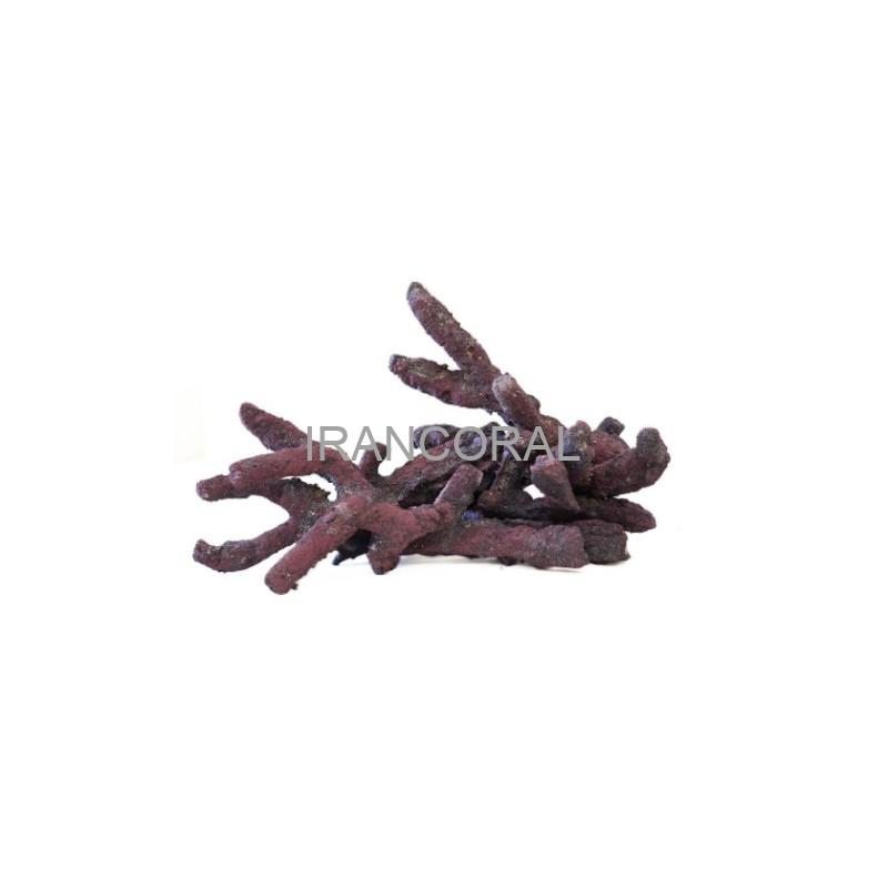 صخره های شاخه ای کاریب سی