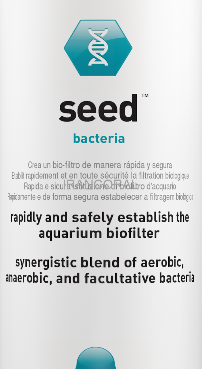 باکتری سید آکواویترو