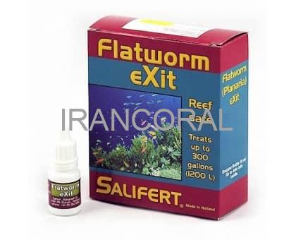 فلت ورم اگزیت سالیفرت