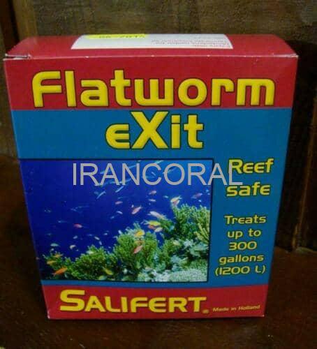 فلت ورم اگزیت سالیفرت