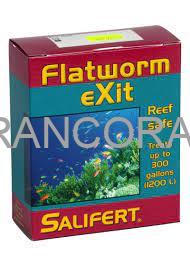 فلت ورم اگزیت سالیفرت