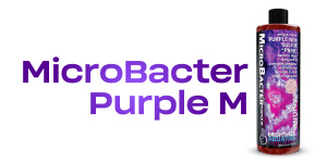 باکتری جدید کمپانی برایتول آکواتیک معرفی شد