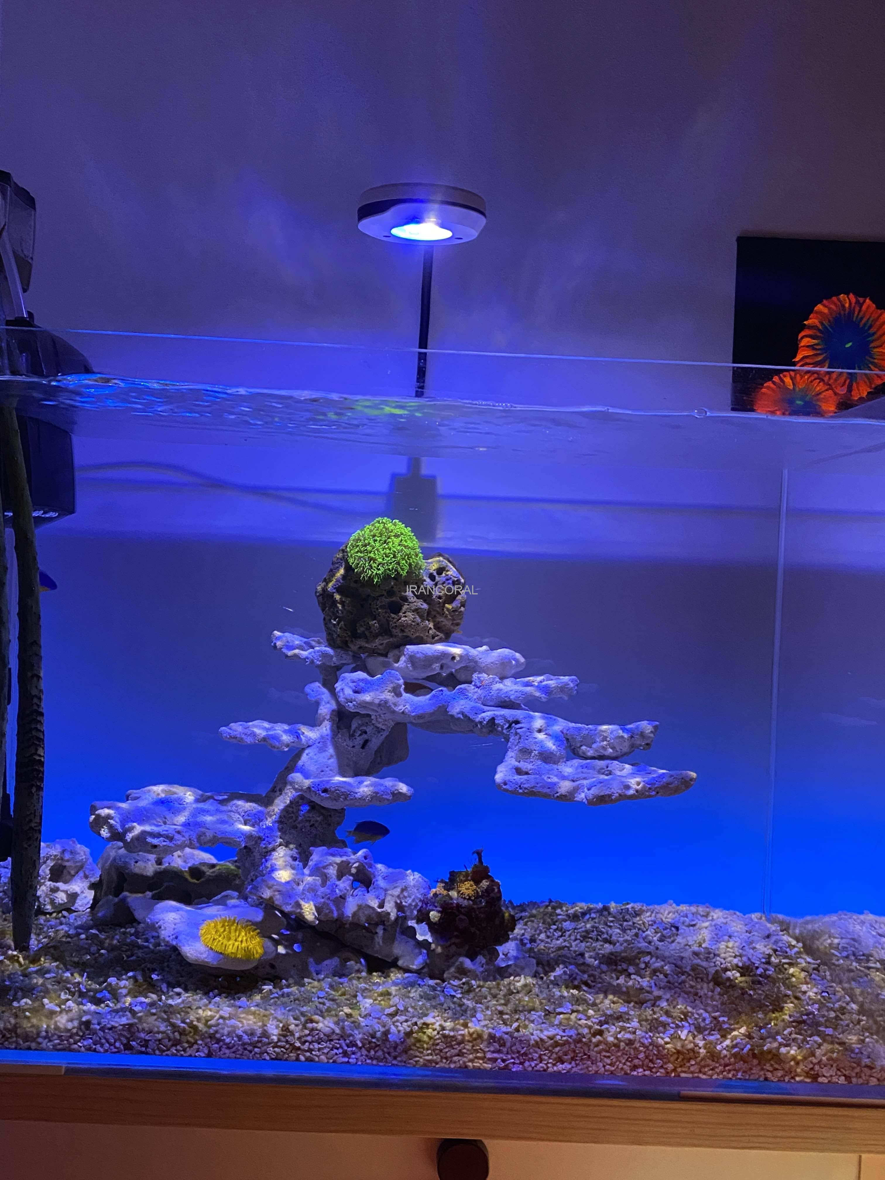 نور اسپکترا SP20