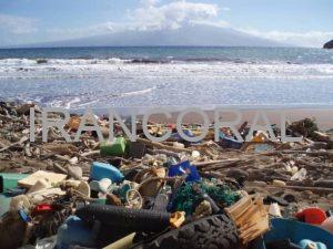 قارچ ها پلاستیک را تجریه می کنند