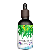 غذای مرجان فیتوپلانکتون