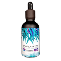 غذای مرجان زوپلانکتون