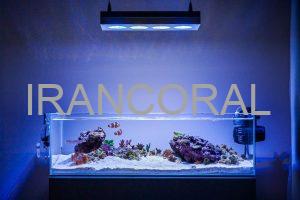 کلسیم در آکواریوم آب شور به زبان ساده